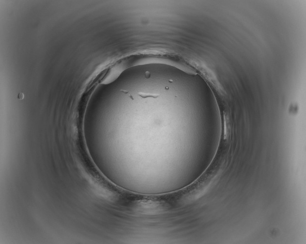 X0000096970300200802081258