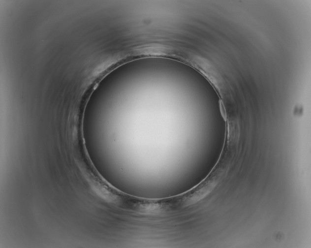 X0000096970301200802081258