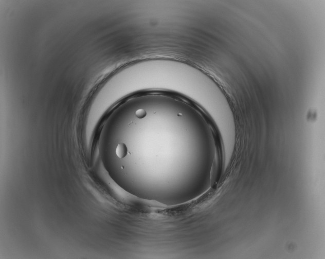 X0000096970302200802081258