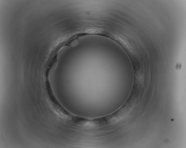 X0000096970303200802081258