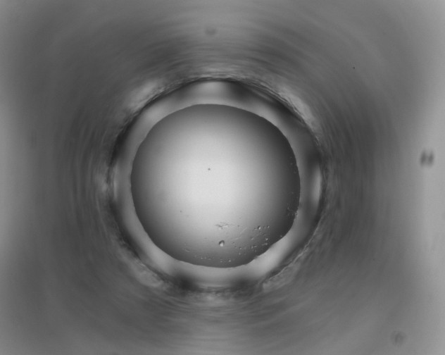 X0000096970305200802081258