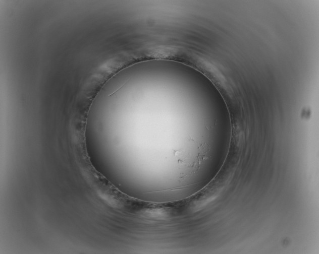 X0000096970307200802081258
