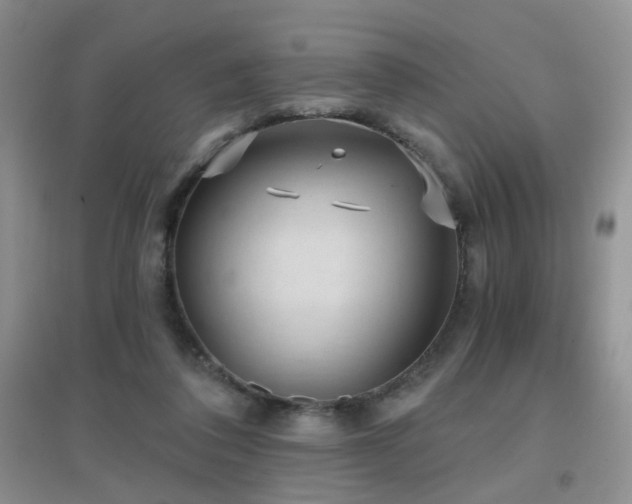 X0000096970308200802081258
