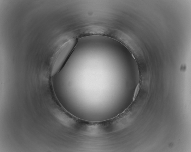 X0000096970309200802081258
