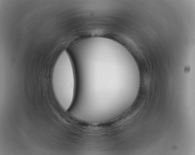 X0000096970311200802081258
