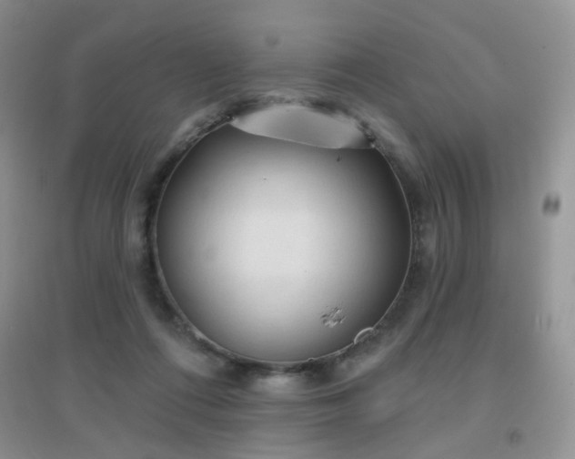 X0000096970312200802081258