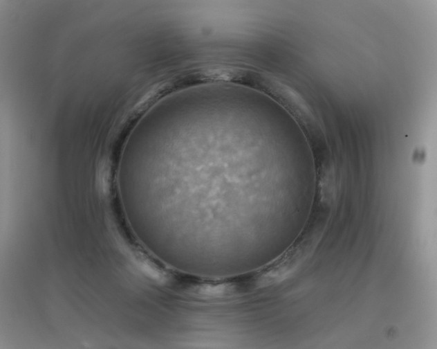 X0000096970314200802081258