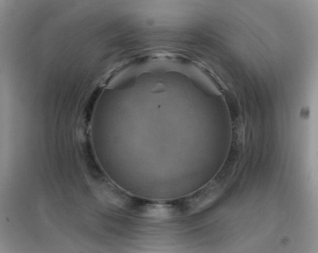 X0000096970316200802081258
