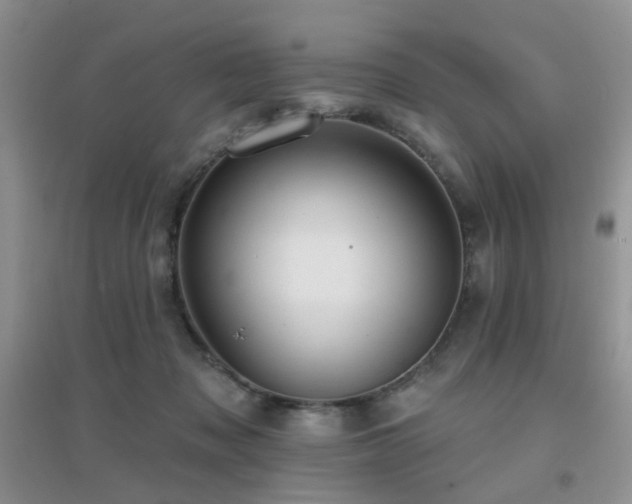 X0000096970317200802081258