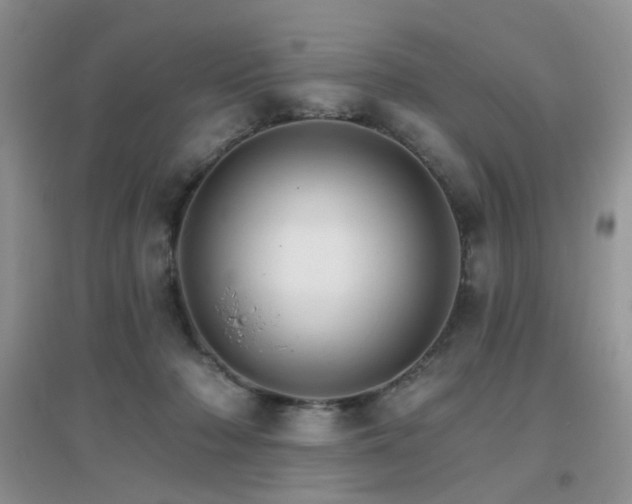 X0000096970318200802081258