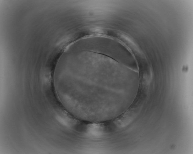 X0000096970320200802081258
