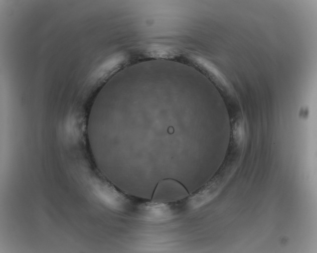X0000096970322200802081258