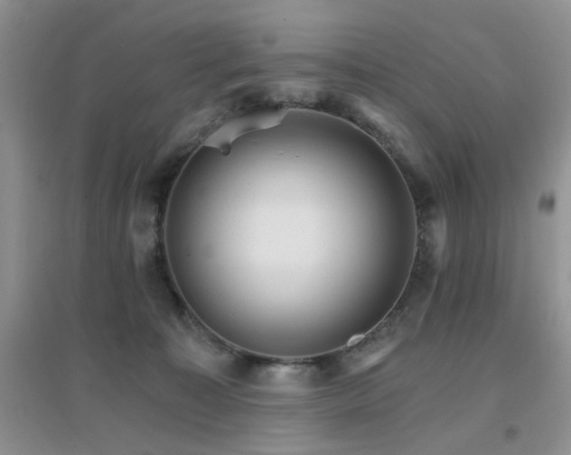 X0000096970323200802081258