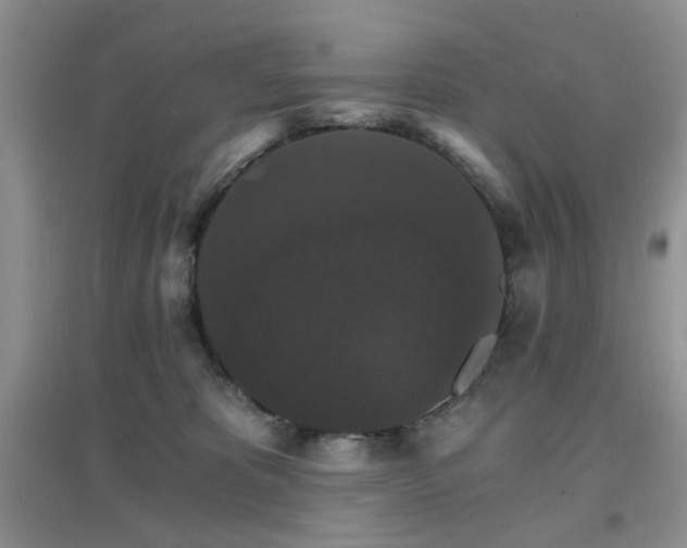 X0000096970325200802081258