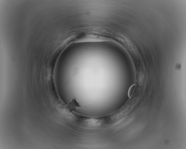 X0000096970326200802081258
