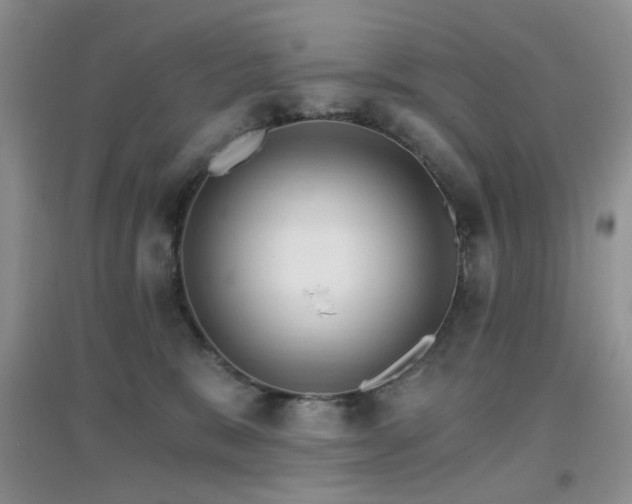 X0000096970327200802081258