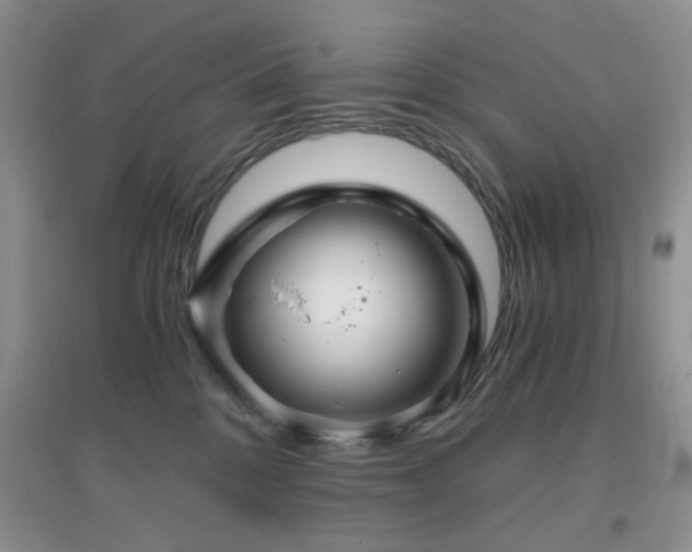 X0000096970328200802081258