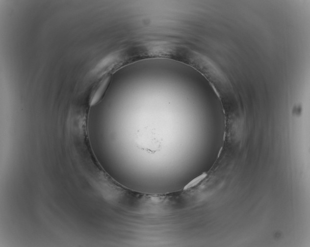 X0000096970329200802081258
