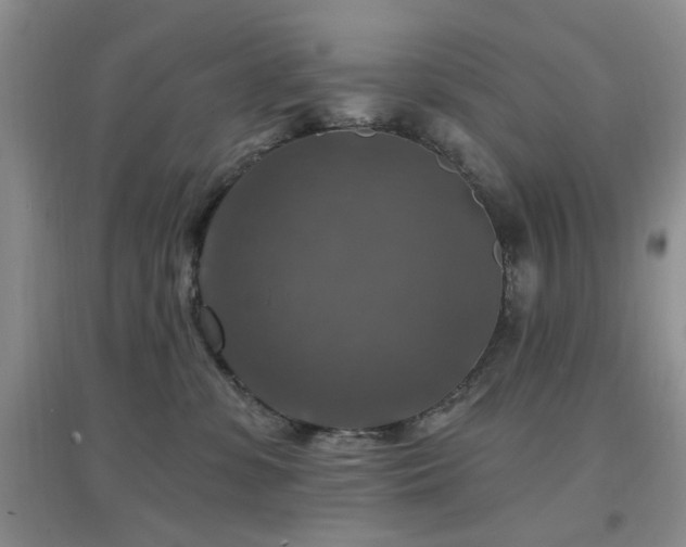 X0000096970331200802081258