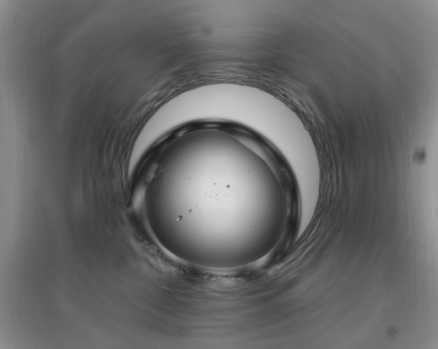 X0000096970332200802081258