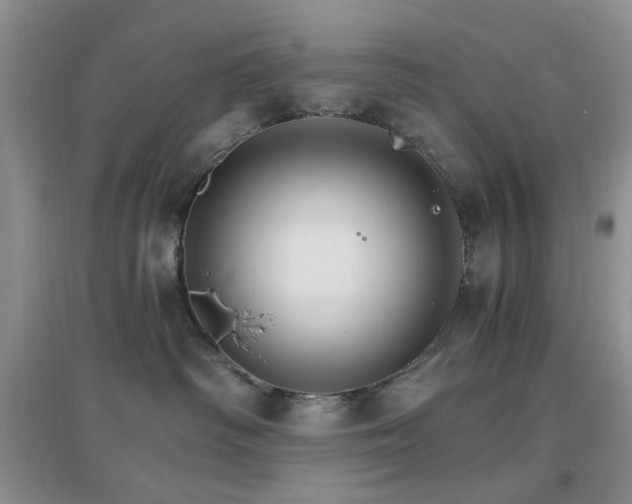 X0000096970334200802081258
