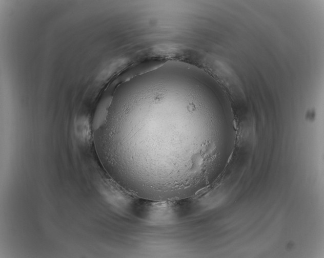 X0000096970335200802081258