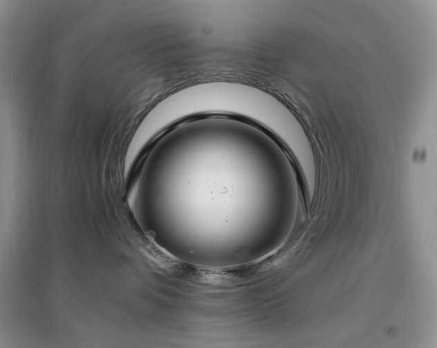 X0000096970336200802081258