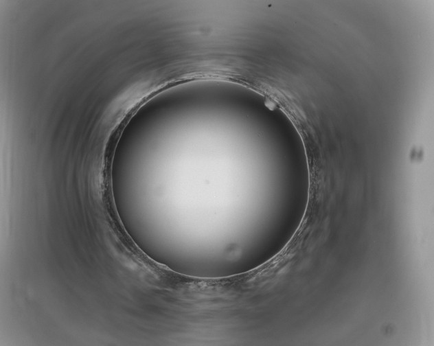 X0000096970338200802081257