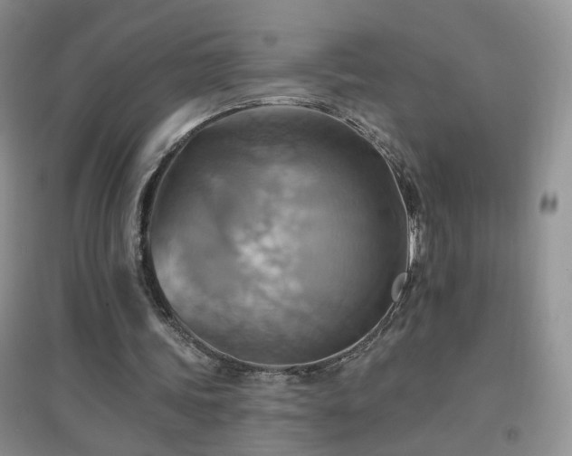X0000096970339200802081257