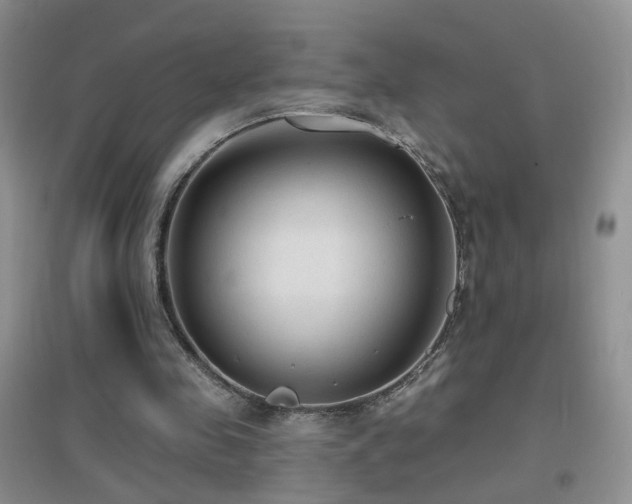 X0000096970341200802081257