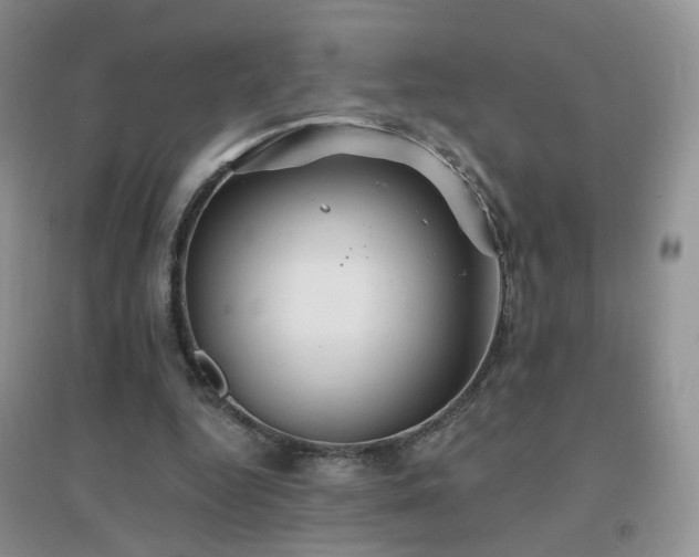 X0000096970344200802081257