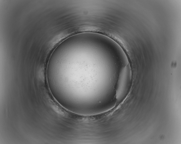 X0000096970345200802081257