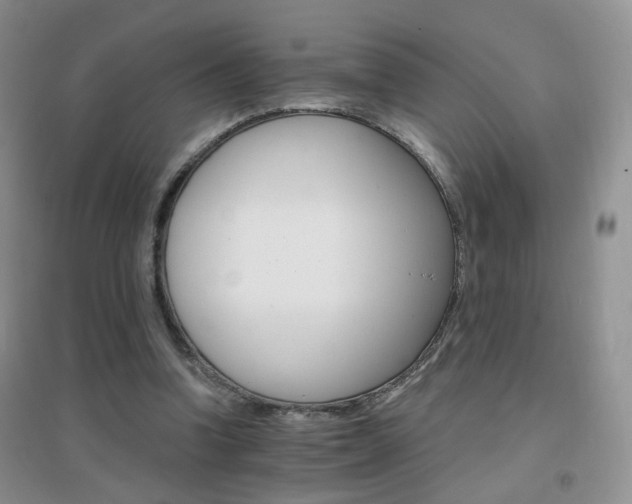 X0000096970346200802081257