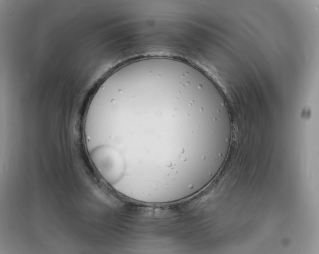 X0000096970347200802081257