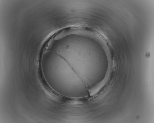 X0000096970348200802081257