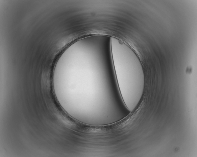 X0000096970349200802081257
