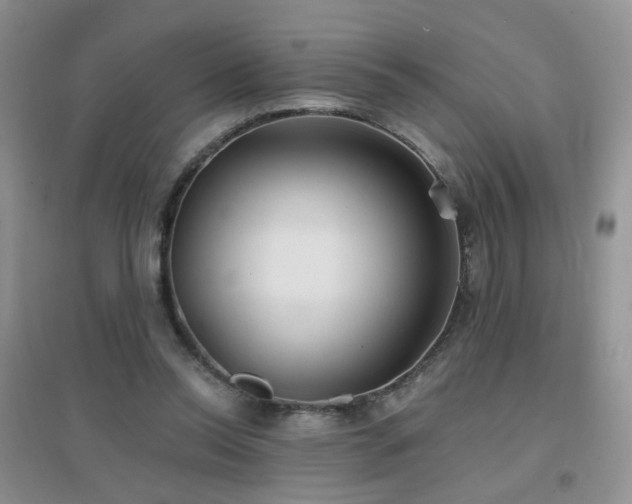 X0000096970350200802081257