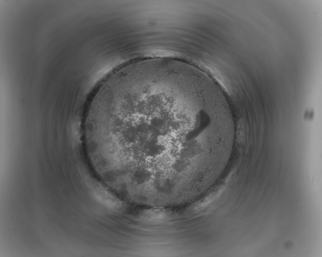X0000096970351200802081257