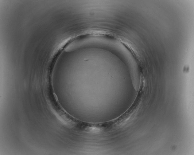 X0000096970352200802081257