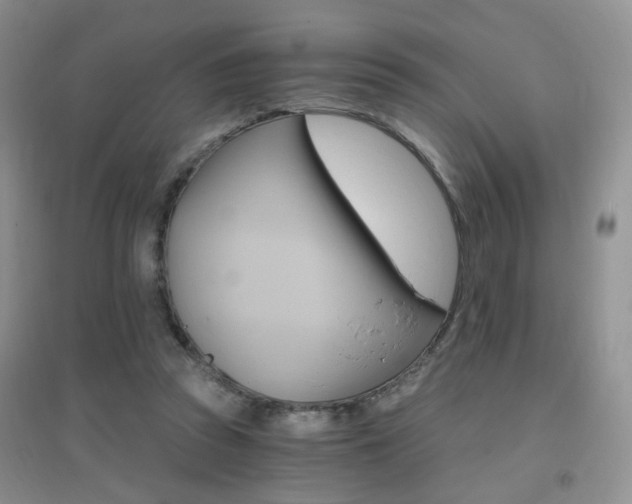 X0000096970353200802081257