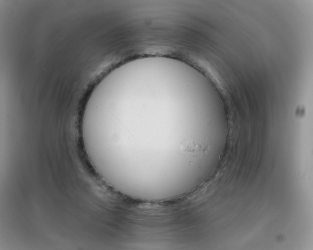 X0000096970354200802081257