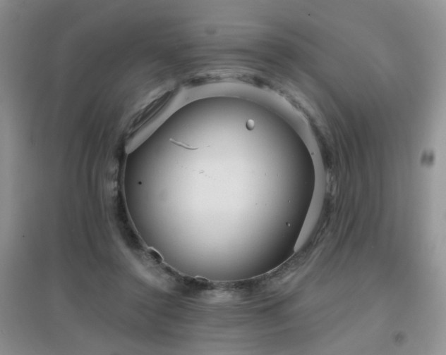 X0000096970356200802081257