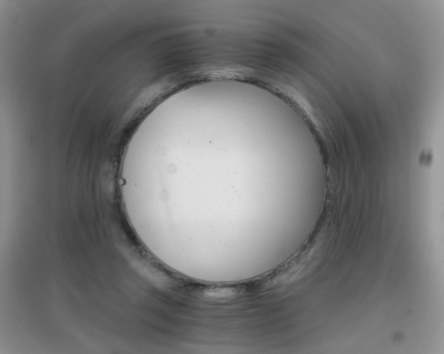 X0000096970357200802081257
