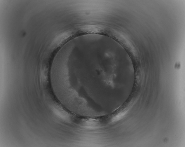 X0000096970359200802081257