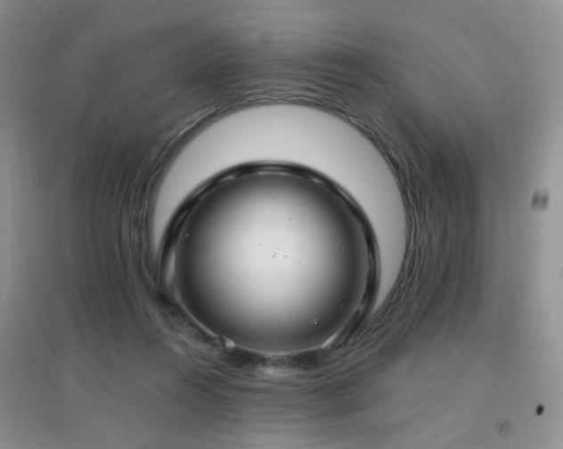 X0000096970360200802081257