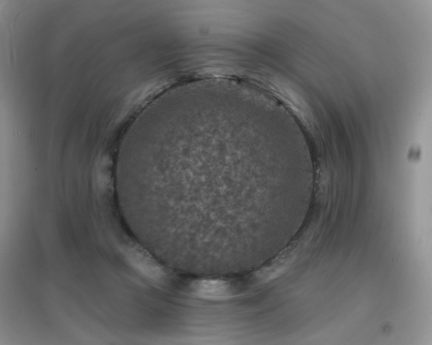 X0000096970361200802081257