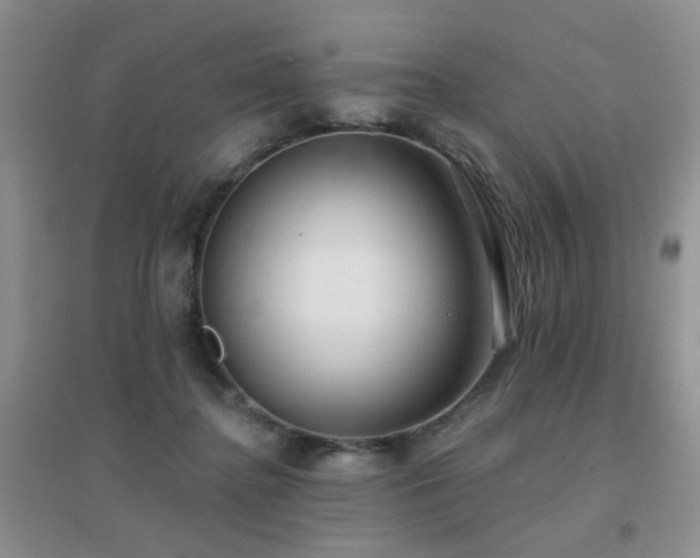 X0000096970364200802081257