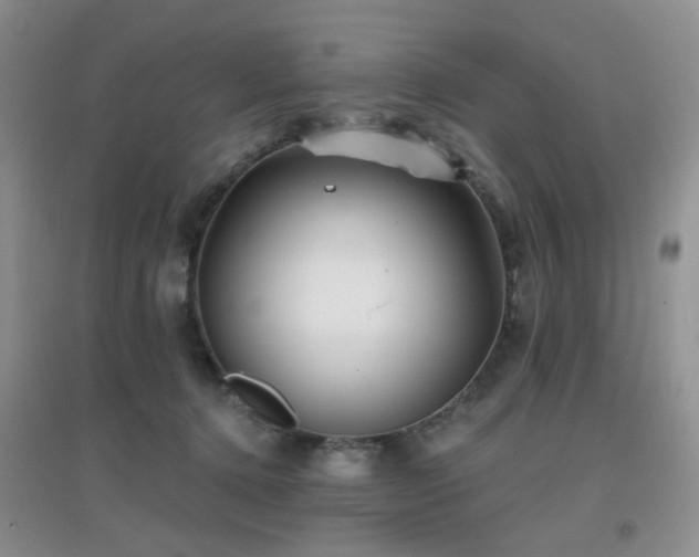 X0000096970368200802081257