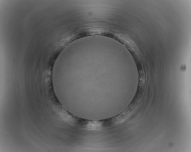 X0000096970369200802081257