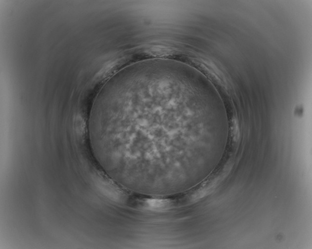 X0000096970371200802081257